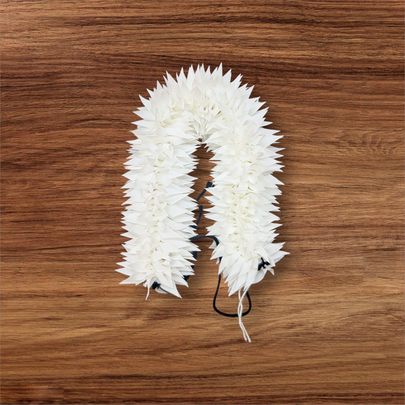 Bharatanatyam Kuchipudi Dance Flowers
