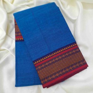 Bharathanatyam Dance Practice Blue Saree  Online