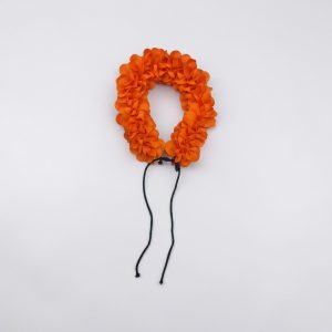 Bharatanatyam Kuchipudi Dance Flowers