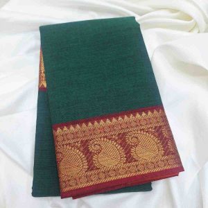 Bharathanatyam Dance Practice Saree green Zari Border