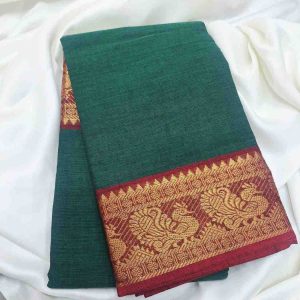 Bharathanatyam Dance Practice Saree green Zari Border