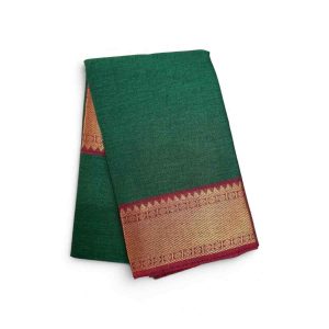 Bharathanatyam Dance Practice Saree green Zari Border