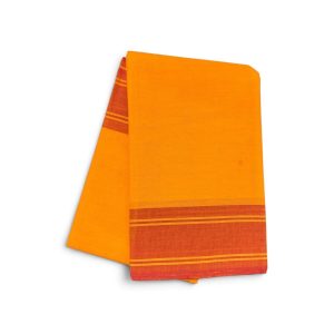 Bharathanatyam Dance Practice orange Saree Plain Border Online