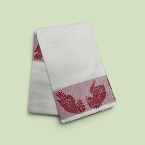 Bharathanatyam Dance Practice  Saree white  Border Online